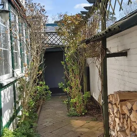 Haus-gutenberg بولتينهاجين