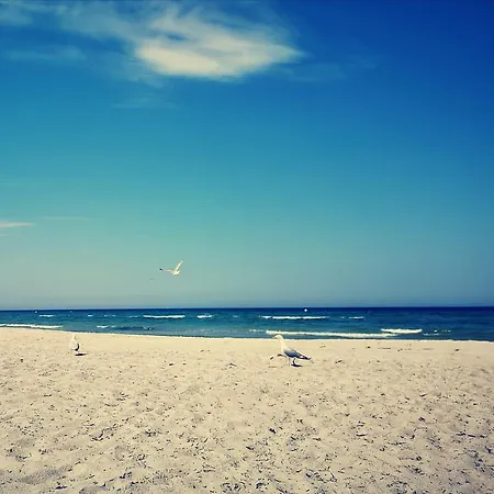 شقة Haus-gutenberg بولتينهاجين